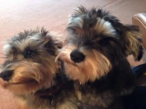 Patsy n Eddie babies