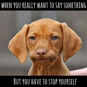 6770e126a537a6ffad7898af07124786-nurse-meme-funny-funny-nursing-quotes